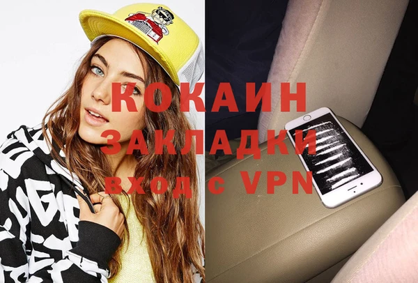 гидра Алексеевка