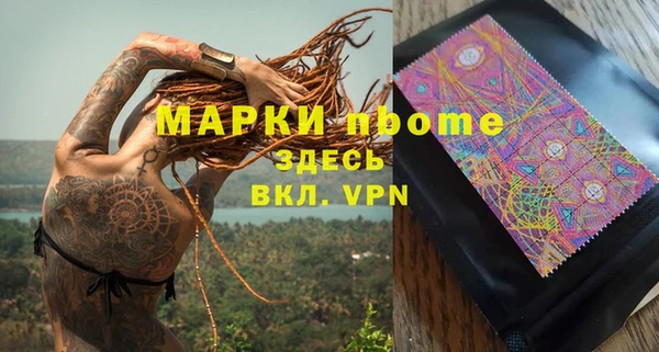 прущие грибы Алзамай