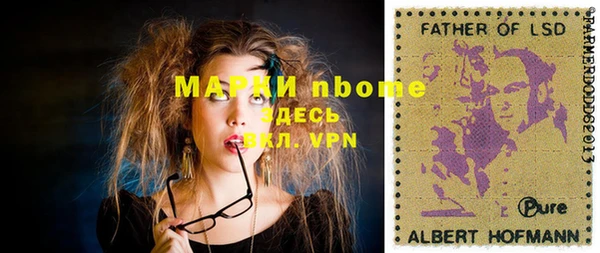 прущие грибы Алзамай